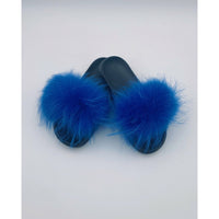 CY Slides Blue